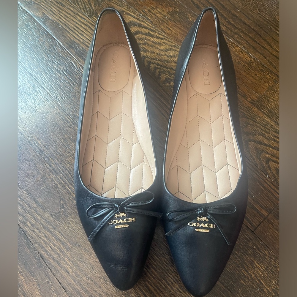 Black Coach pointed flats, size 9.